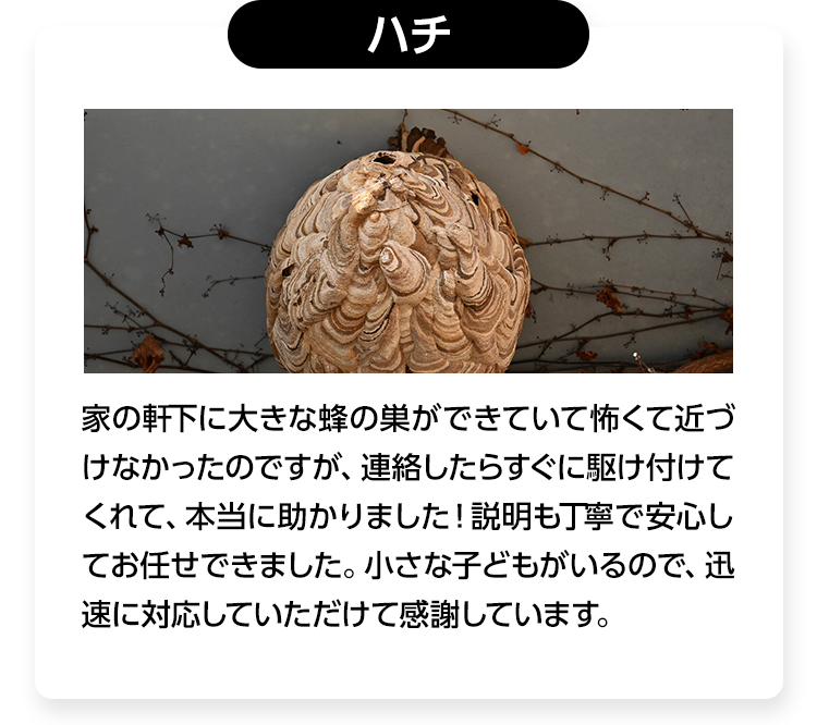 ハチ/家の軒下に大きな蜂の巣ができていて怖くて近づけなかったのですが、連絡したらすぐに駆け付けてくれて、本当に助かりました！説明も丁寧で安心してお任せできました。小さな子どもがいるので、迅速に対応していただけて感謝しています。