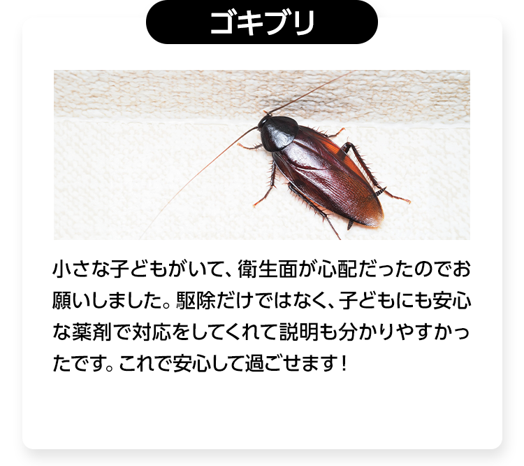 ゴキブリ/小さな子どもがいて、衛生面が心配だったのでお願いしました。駆除だけではなく、子どもにも安心な薬剤で対応をしてくれて説明も分かりやすかったです。これで安心して過ごせます！