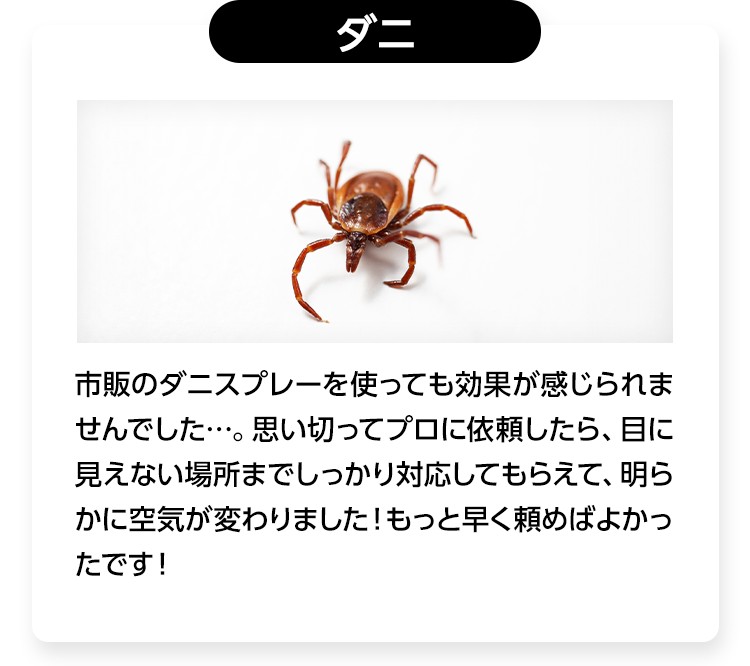 ダニ/市販のダニスプレーを使っても効果が感じられませんでした…。思い切ってプロに依頼したら、目に見えない場所までしっかり対応してもらえて、明らかに空気が変わりました！もっと早く頼めばよかったです！